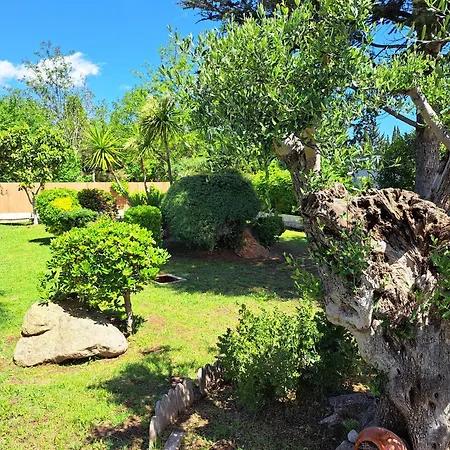 Casa En Con Piscina En La Costa Brava Tatil Evi Viladamat